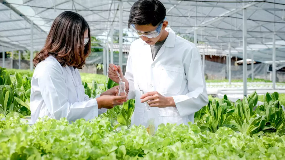 Сенсация: ученые обнаружили скрытую «зимнюю память» внутри растений