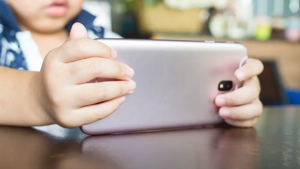 Четырёхлетний сын депутата начал материться и угрожать ему после игры в Minecraft