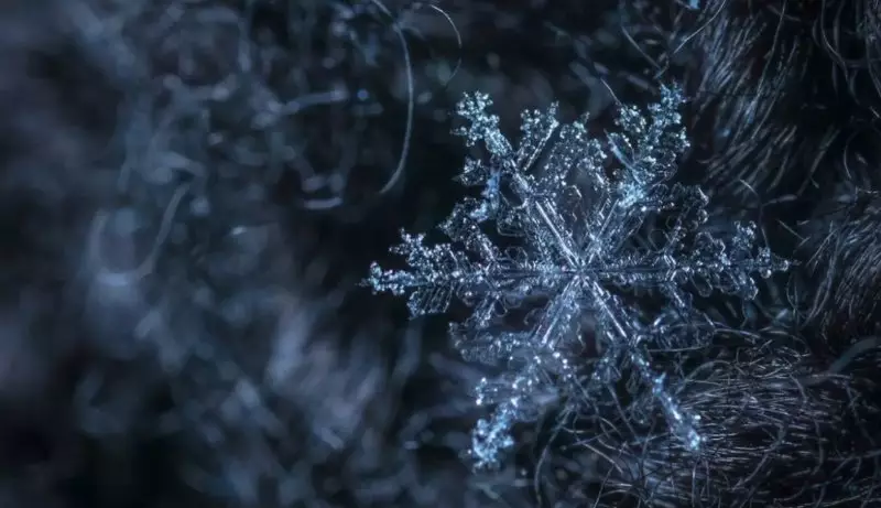 Какая будет погода 22 января в Казахстане