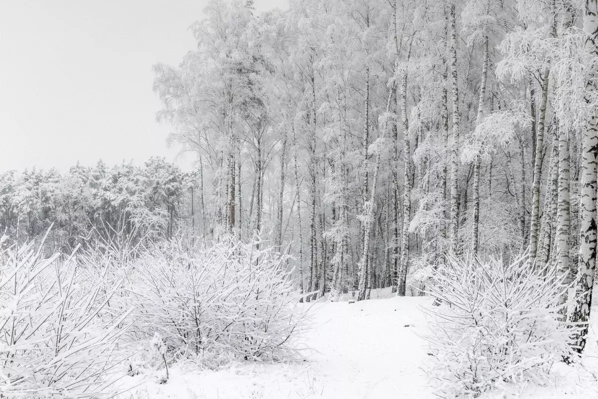 Штормовое предупреждение объявлено в 14 областях Казахстана на 22 января