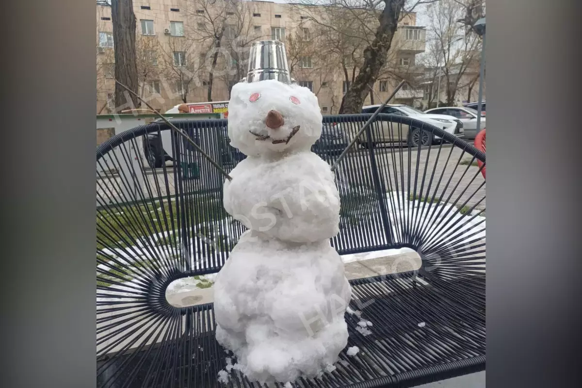 В Шымкенте неизвестные похитили снеговика