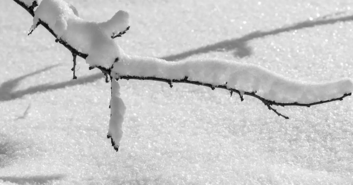  Ауа райына қатысты 14 облыста ескерту жарияланды 