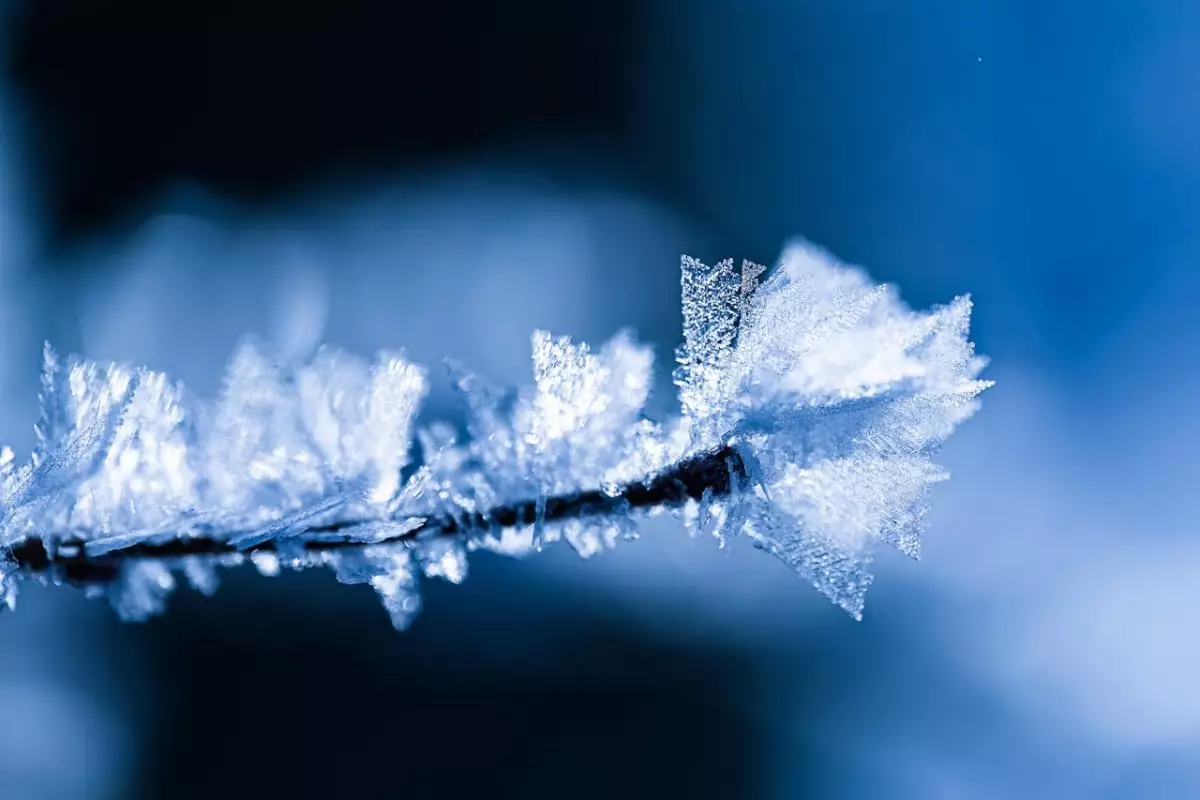 Сильные морозы, туман и гололед: погода в городах Казахстана 22 января