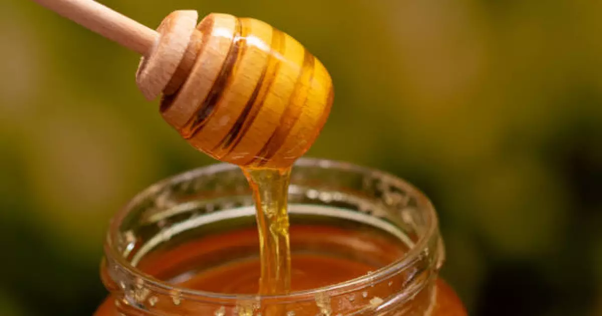  Жамбыл облысында балды заңсыз тасымалдаған Қырғызстан азаматы ұсталды 