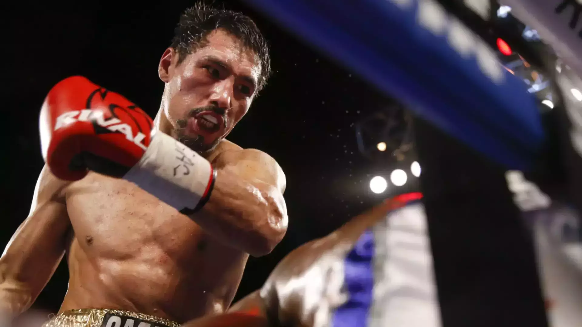 "Жанибек чист!": Менеджер Алимханулы объяснил ситуацию с допинг-тестом