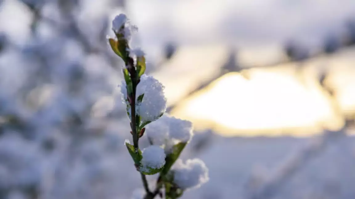 Ақпанда қанша күн демаламыз?
