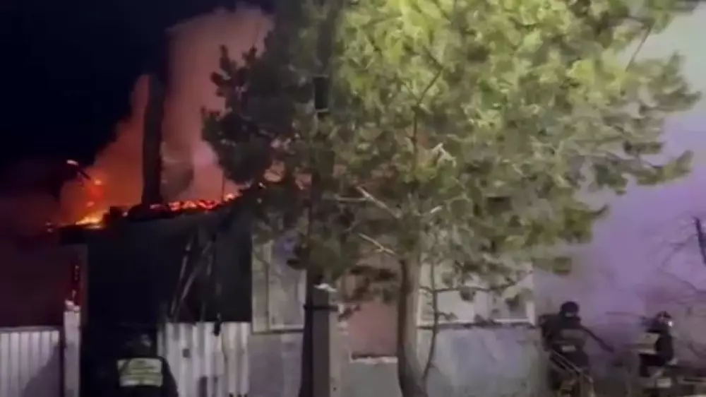 “Оставили одну дома“: мать погибшей в СКО девочки арестовали