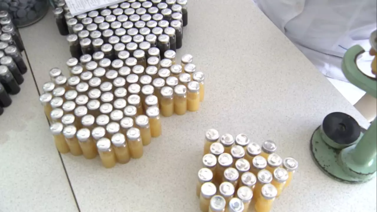 Елімізде төрт фармацевтикалық зауыт салынады