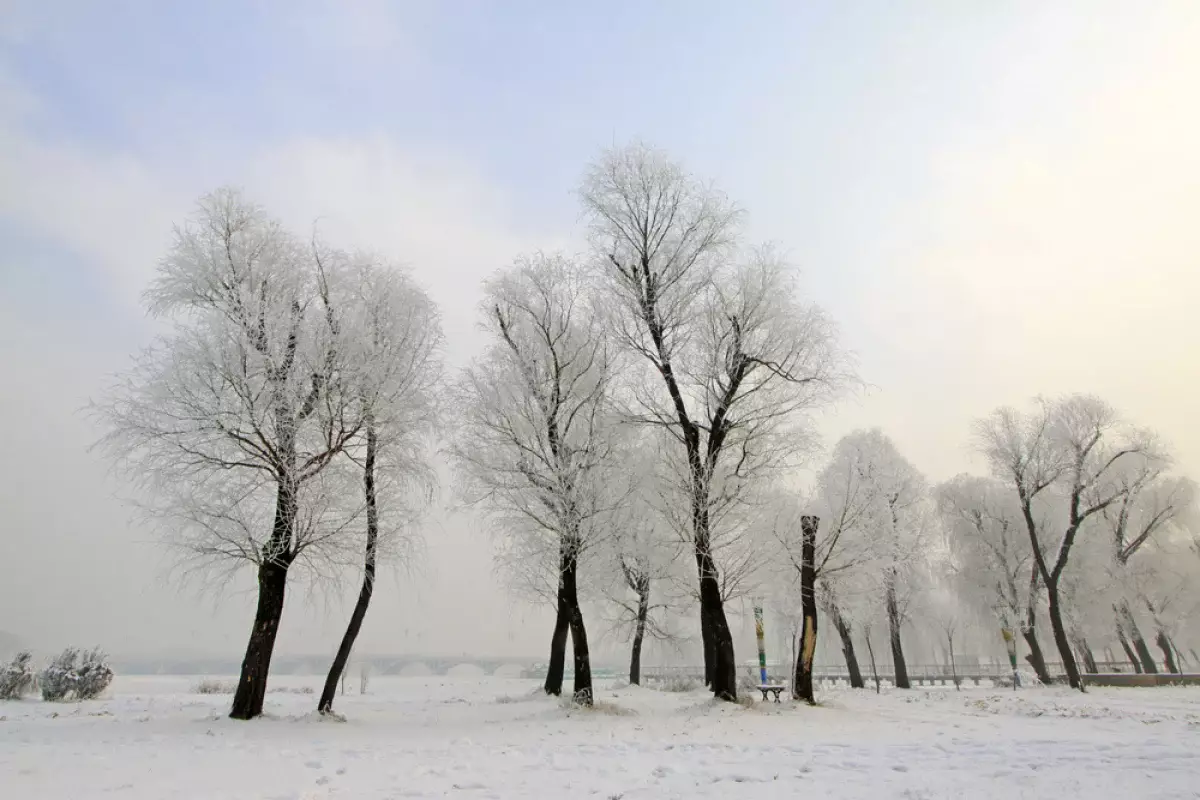 Сильные морозы в Казахстане: спасатели дали рекомендации по безопасности