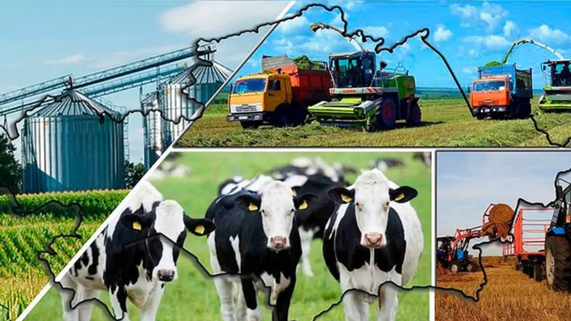 Ауылға серпін беретін құжат: мал шаруашылығы қалай өзгереді