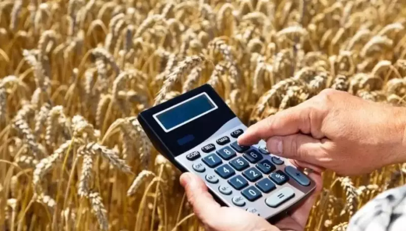 Япония и Саудовская Аравия: Казахстан наращивает экспорт продукции переработки пшеницы