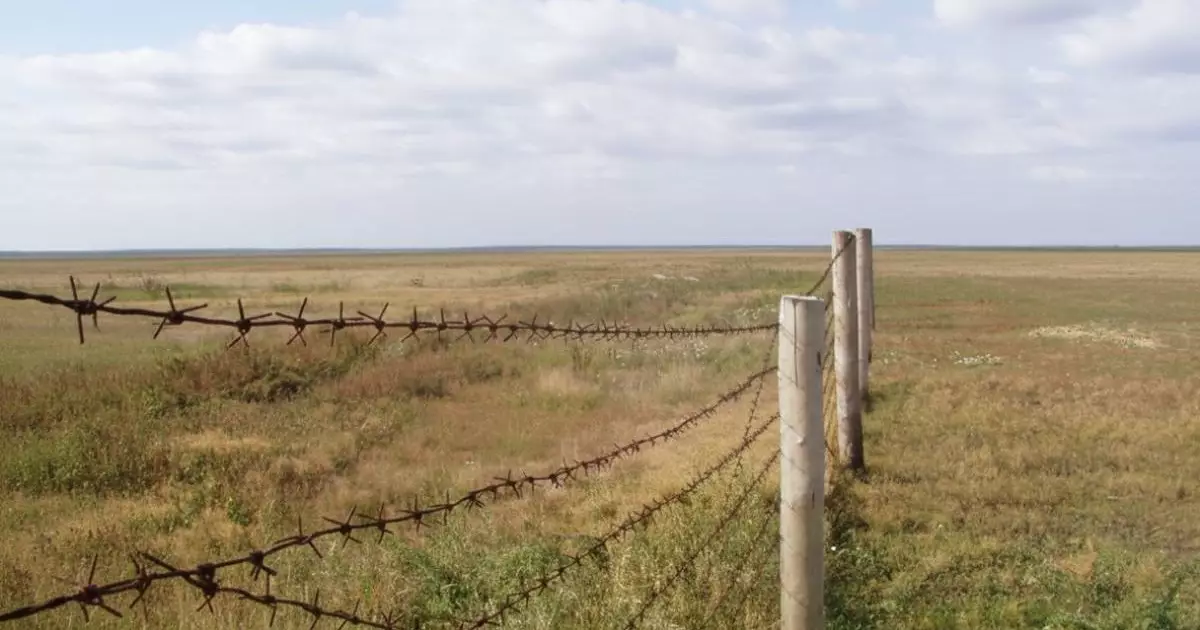  «Аумақты контрабанда үшін пайдаланылуда»: депутат Қазақстан шекарасының осал тұстарын айтты 