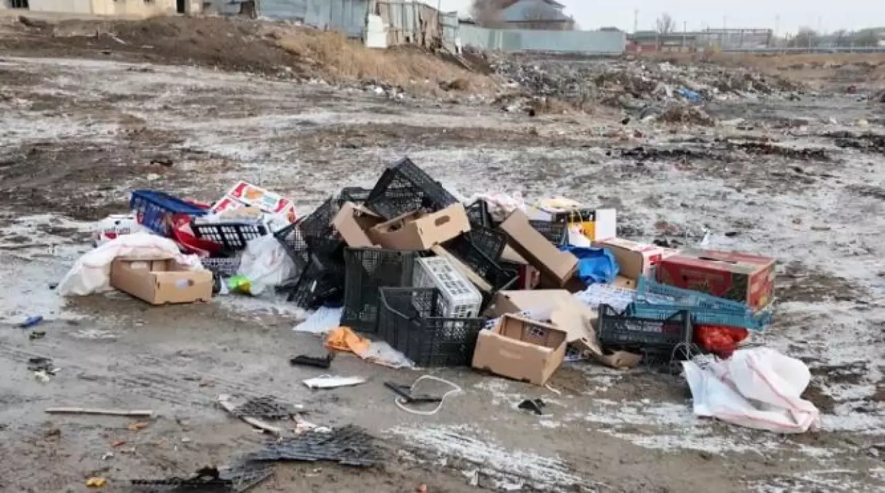 TazaQazBot помогает наводить порядок в Кызылорде