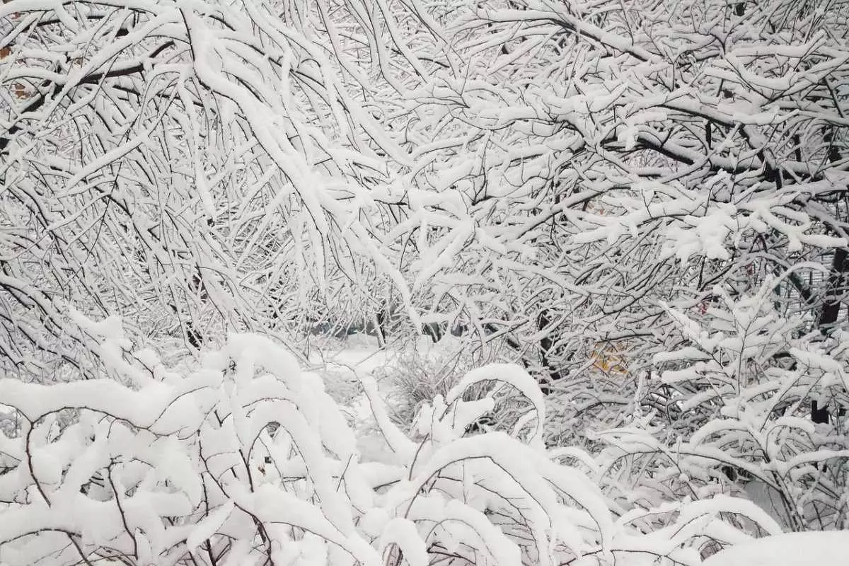 Алматы засыплет снегом