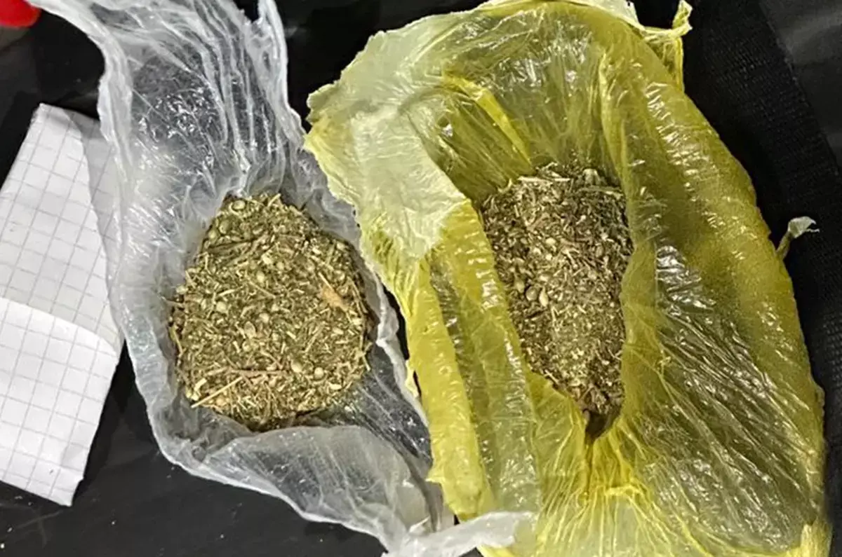 Поход с «травкой» в торговый центр обернулся уголовным делом для жителей Актау (видео) - новости на Lada.kz 22.01.2026