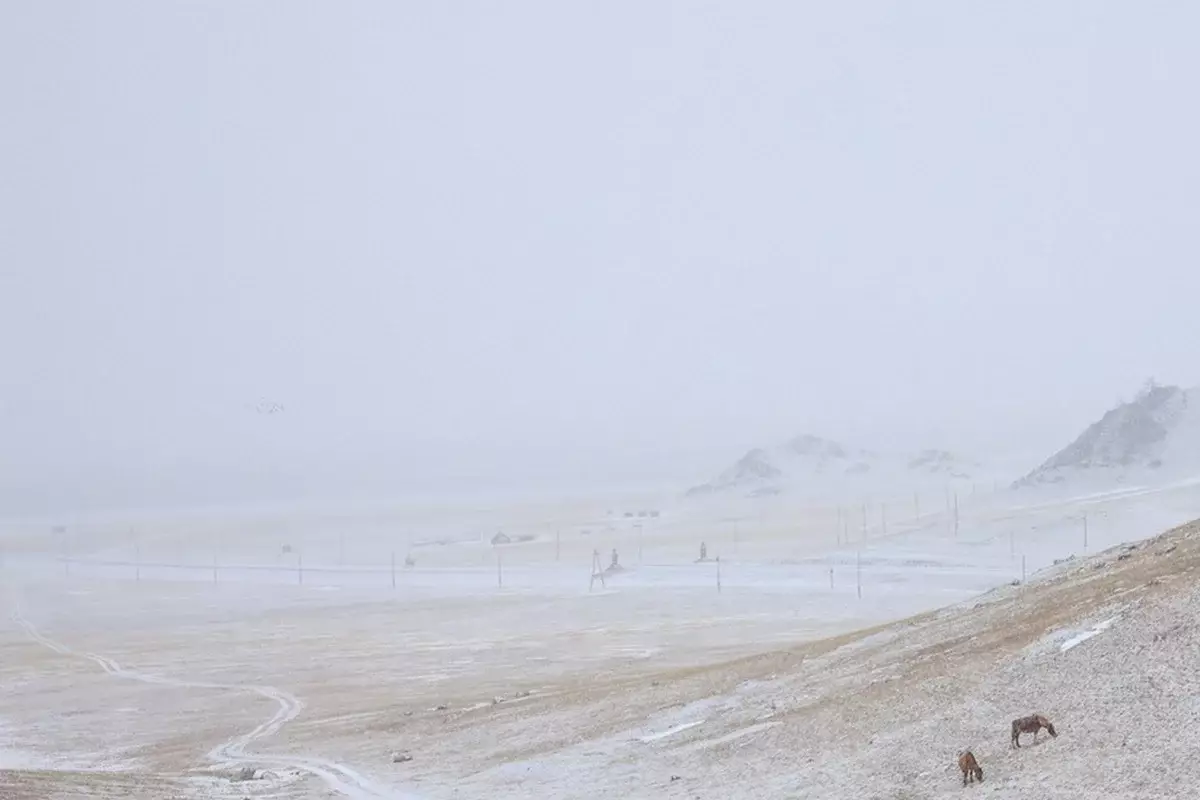 Штормовое предупреждение объявили в 15 регионах Казахстана на 23 января