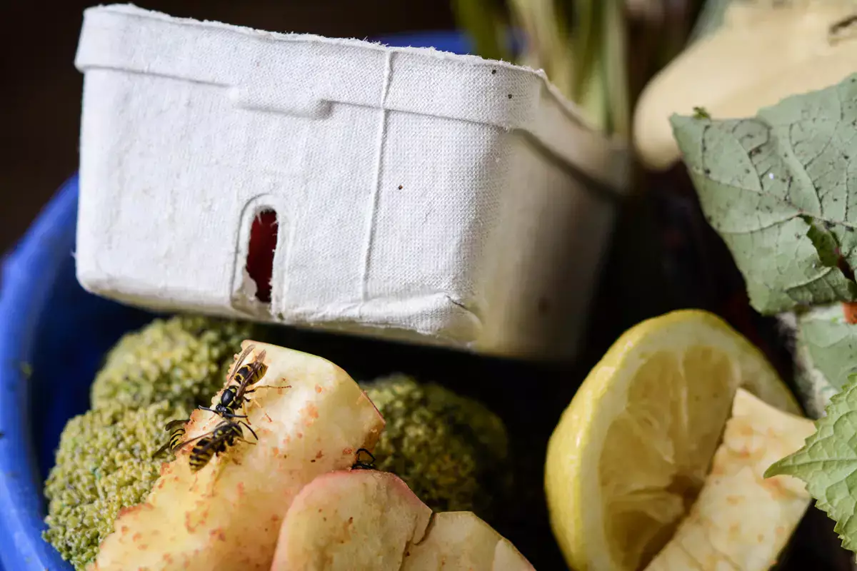 83-летней пенсионерке грозит тюрьма из-за выброшенной коробки - новости на Lada.kz 22.01.2026