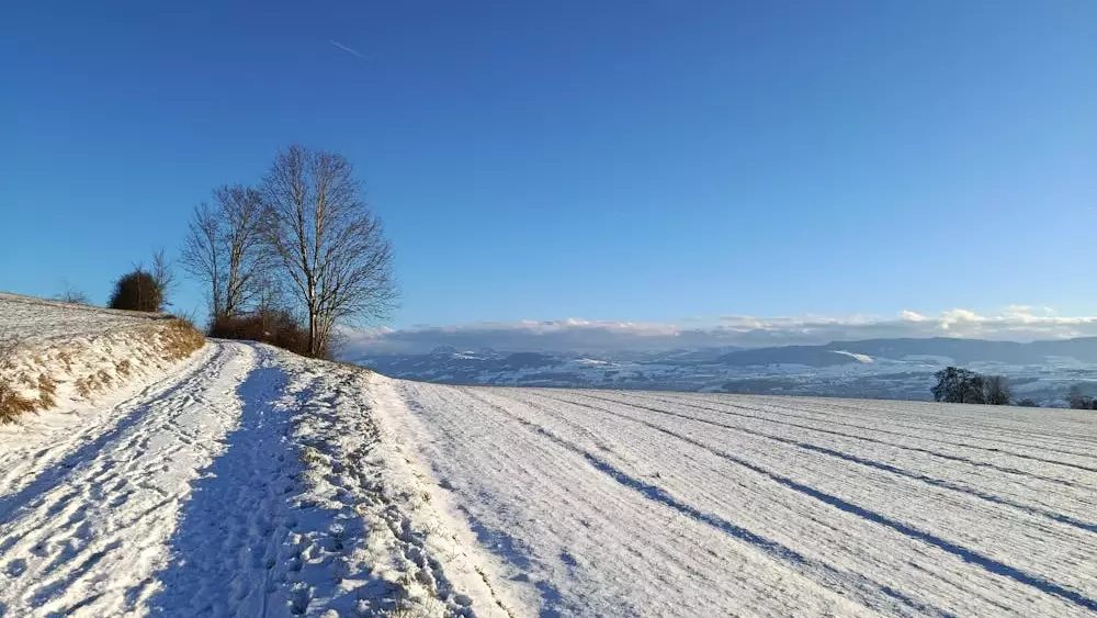 Қар жауып, көктайғақ болады»: 22 қаңтарда ауа райына байланысты ескерту жарияланды