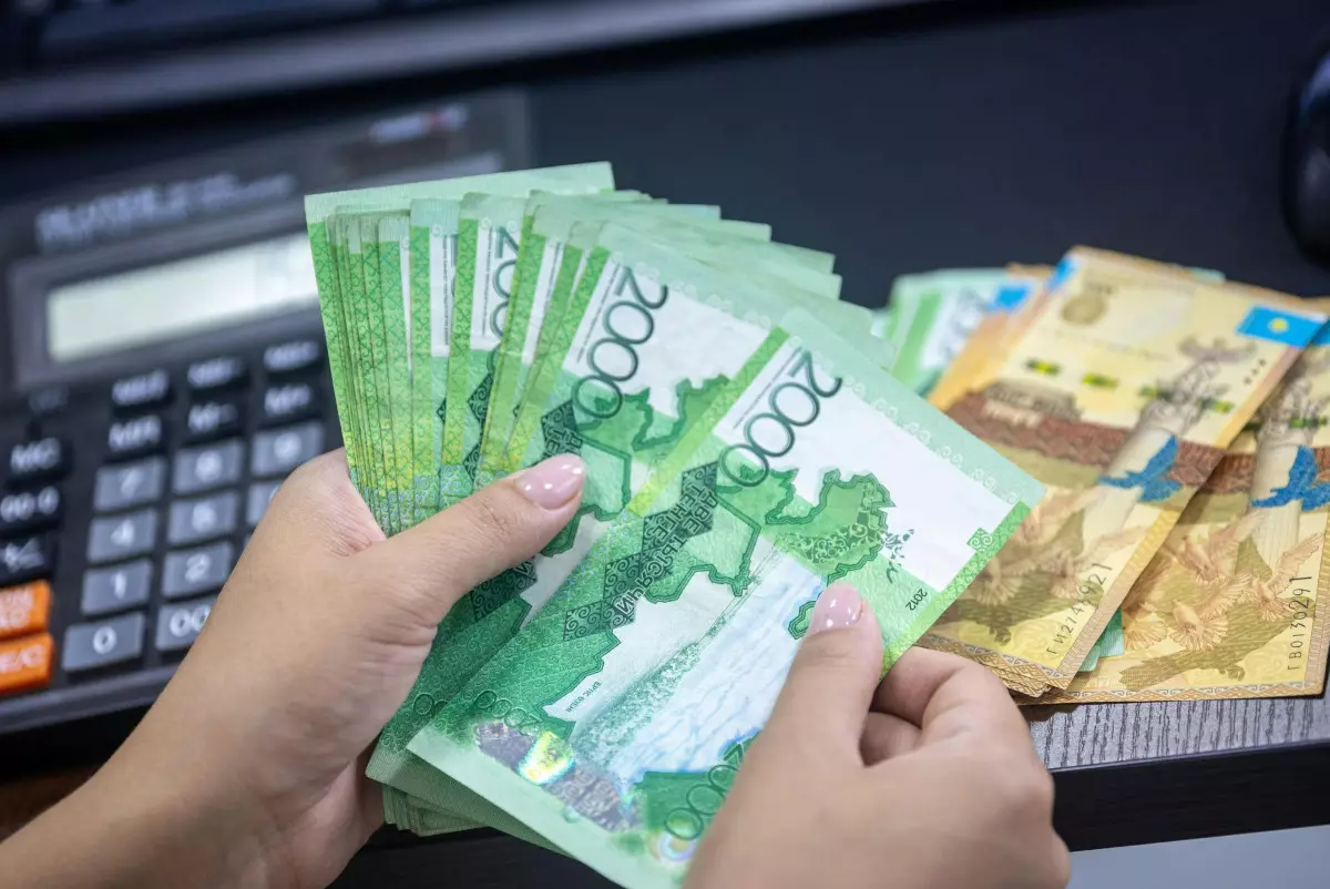 В Павлодарской области выросли налоговые поступления при сокращении проверок