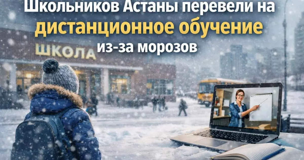  Из-за морозов школьников младших классов Астаны перевели на дистанционное обучение 