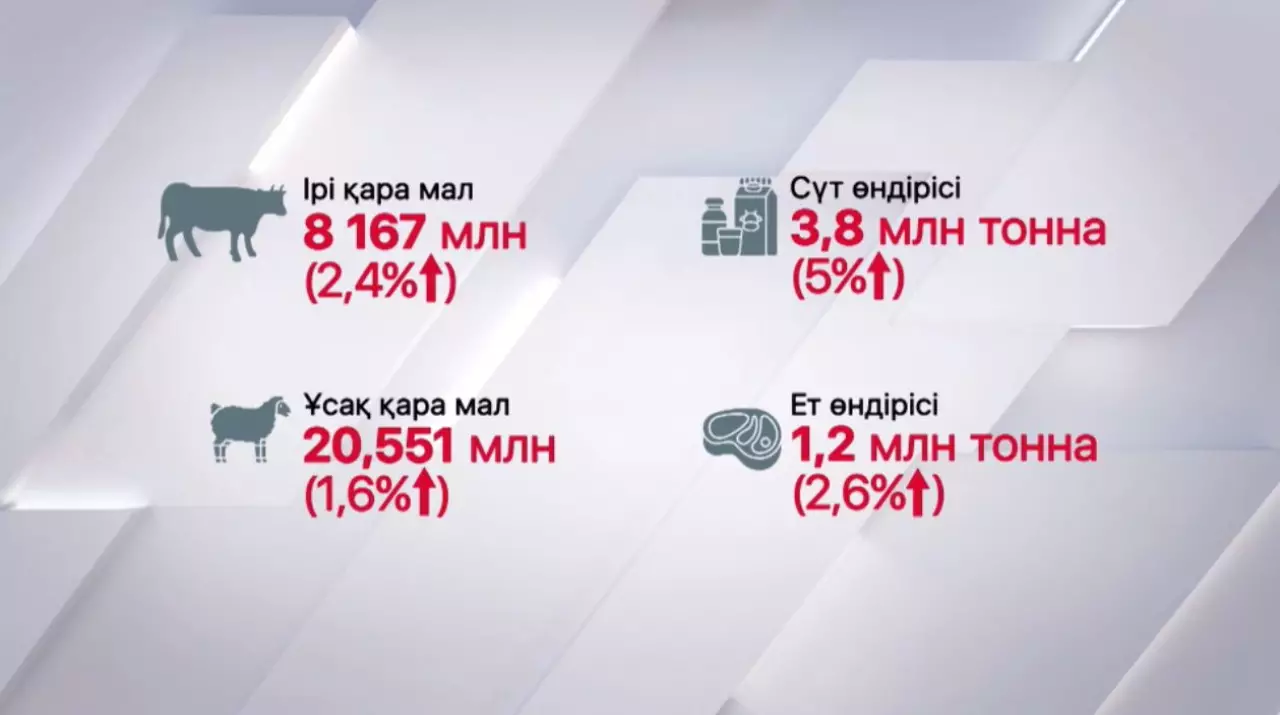 Мал шаруашылығында өсім бар