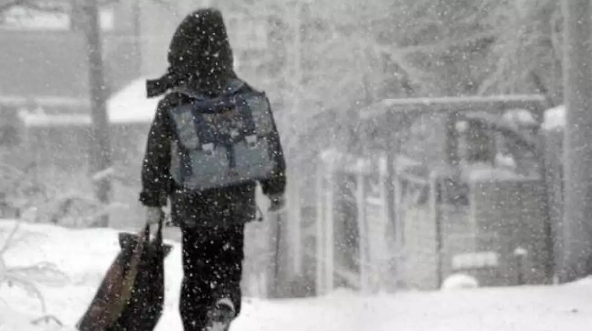 В Астане школьников второй смены перевели на дистанционное обучение из-за непогоды