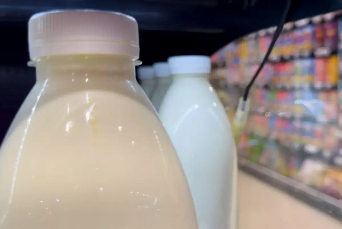 «Я был трезв, но пил кумыс»: как национальный напиток стал причиной лишения прав в Казахстане - новости на Lada.kz 23.01.2026