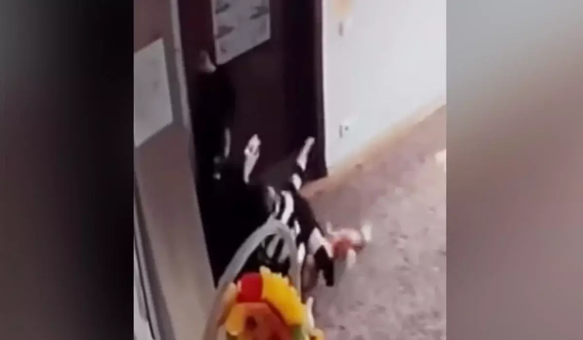 «Тұншықтырып, шапалақпен ұрған»: Алматыда балабақшада болған оқиға жұртты шошытты