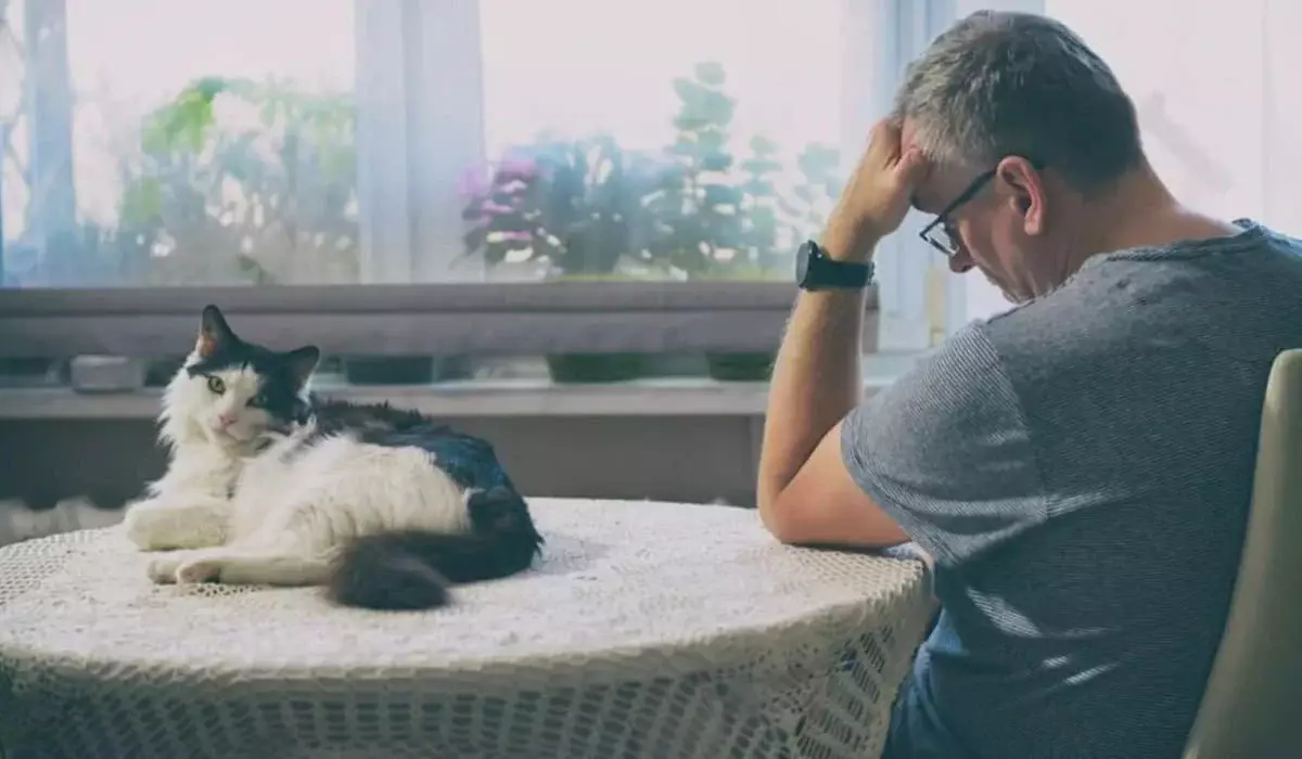 Суд оправдал мужчину, взявшего больничный из-за смерти своей кошки