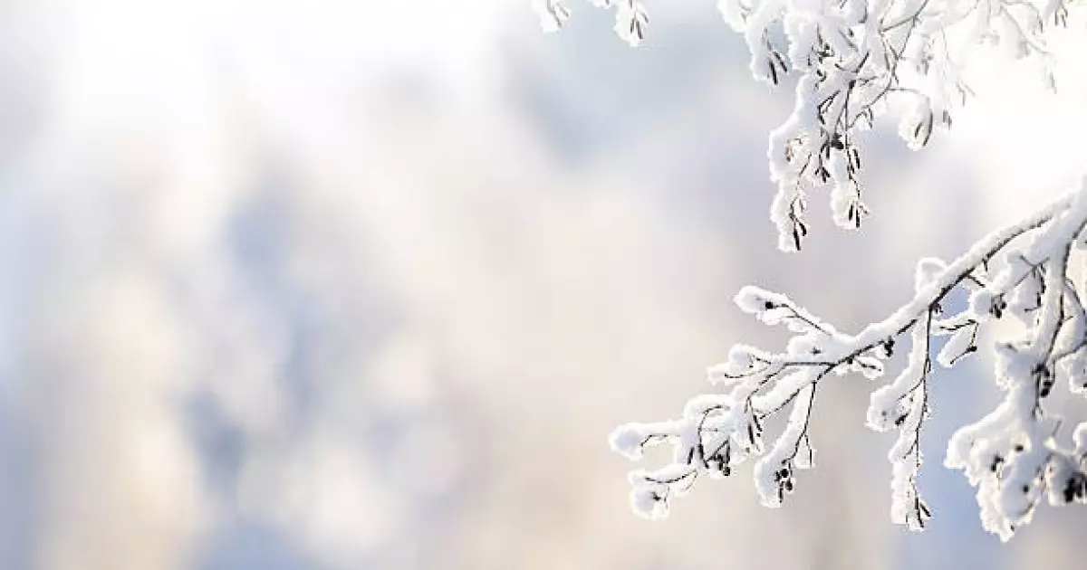   "Қазгидромет" алдағы күндері ауа райы қандай болатынын жариялады   