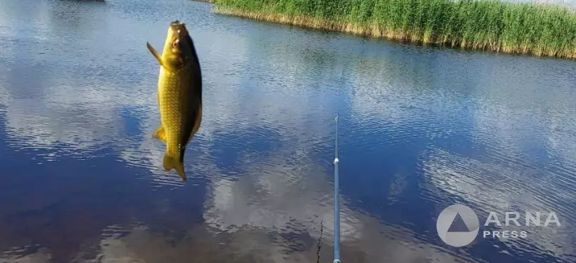 Сколько придется заплатить за незаконный лов редких рыб и водных животных в Казахстане