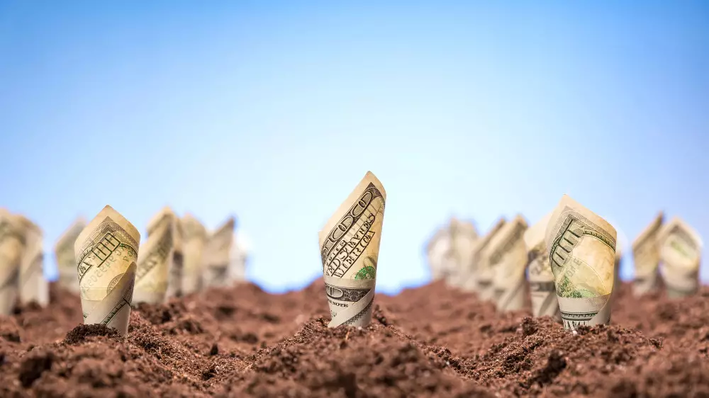 Миллиарды на поддержку фермеров “сгорели” из-за махинаций в Казахстане