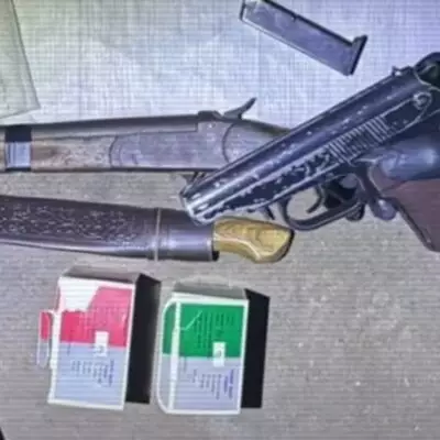 МВД устранило крупную преступную группу: автокредитование, огнестрел