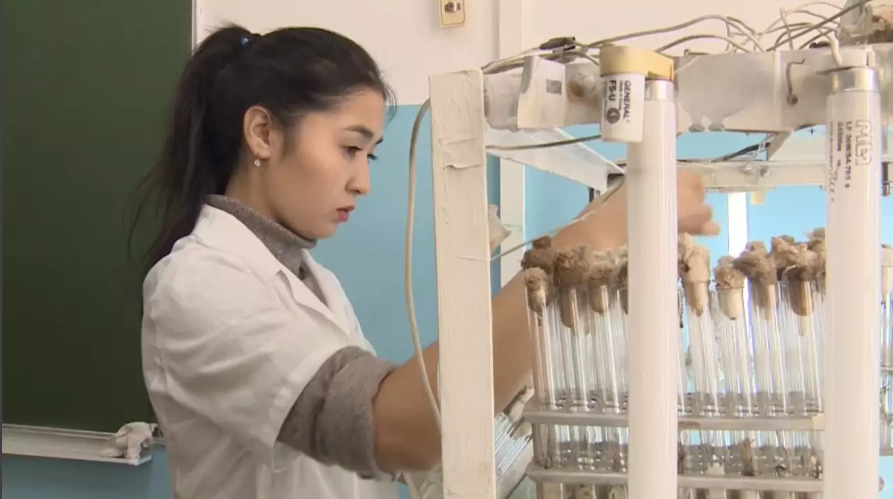 Жастарды қолдау шаралары артты