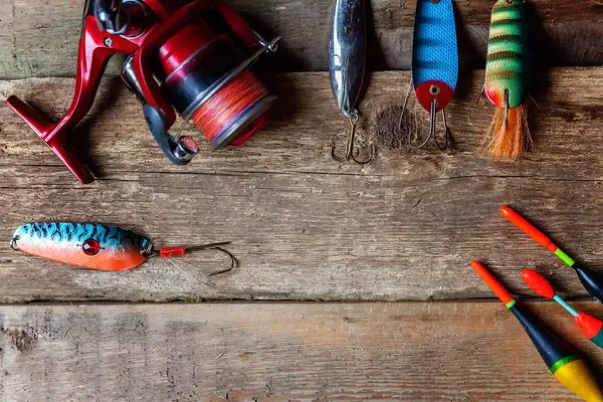 Кого ловить нельзя: сколько придется заплатить за редких рыб и животных