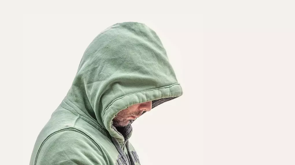 Мысығынан айырылған Финляндия тұрғыны жұмысынан демалыс алған