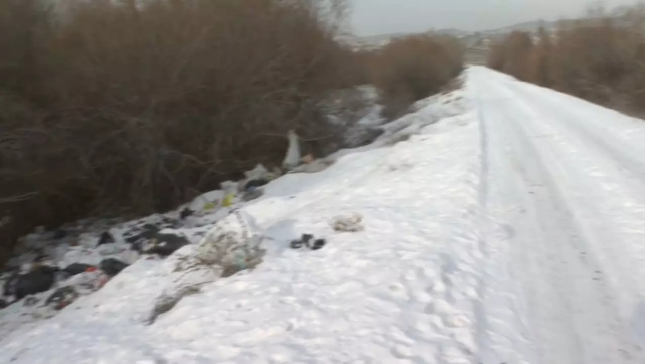 Талдықорғанда өзен жағасын қоқыс жайлап жатыр