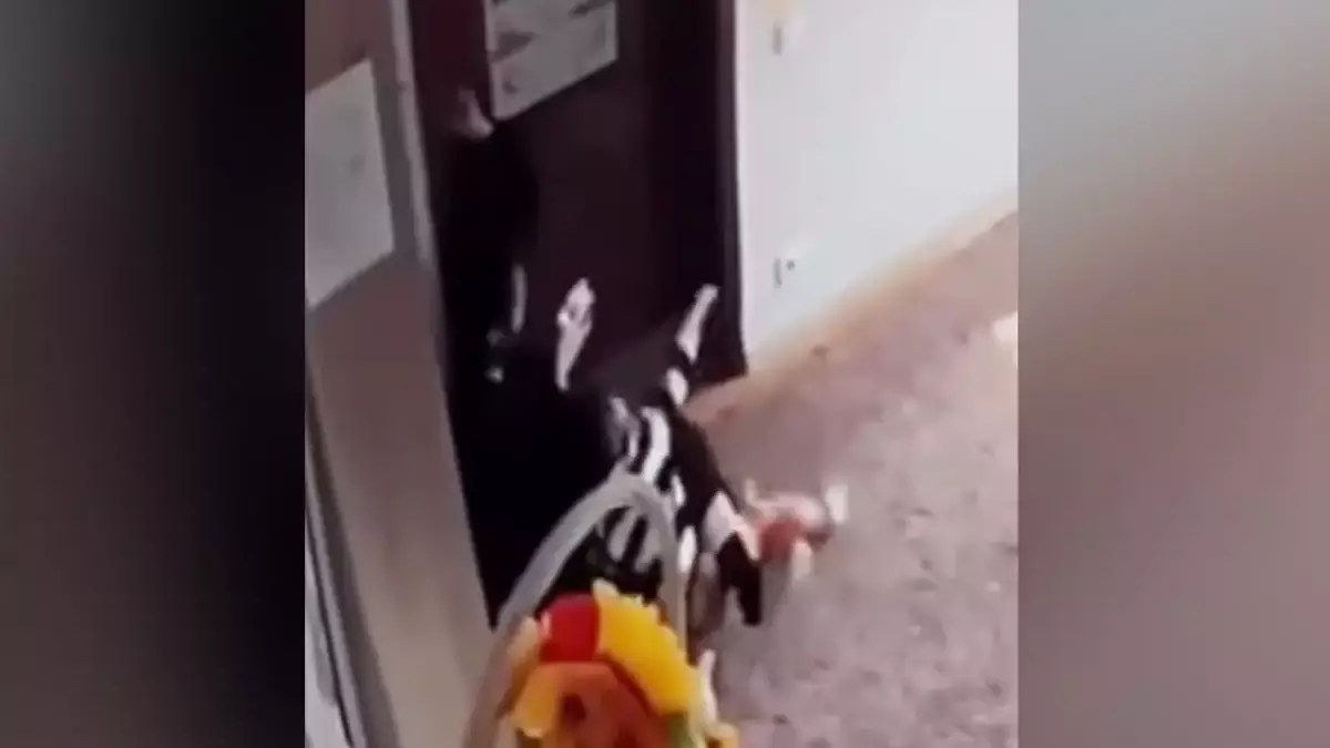 "Ұрып, тұншықтырған": Алматыда балабақшада болған оқиға жұртың жағасын ұстатты