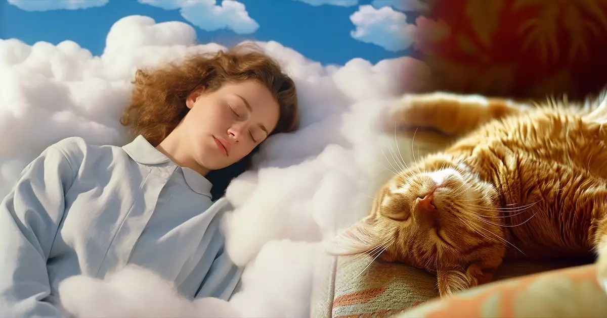  Түс көру жайлы қызықты деректер: ғалымдар не дейді? 