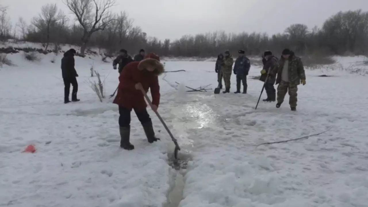 Антизаморные мероприятия проводят на водоемах ЗКО