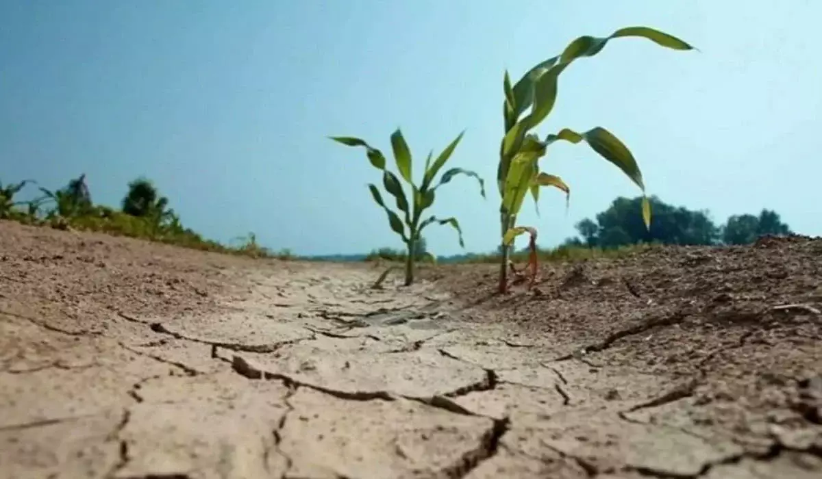 На Кипре объявлено чрезвычайное положение в связи с проблемой водных ресурсов.