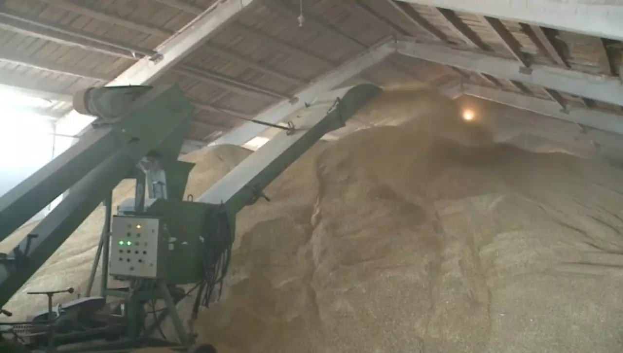 Аграриев Костанайской области поддержат субсидиями