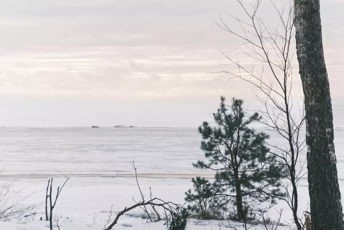 Морозам вопреки: как в Павлодаре спасают рыбу и зверей