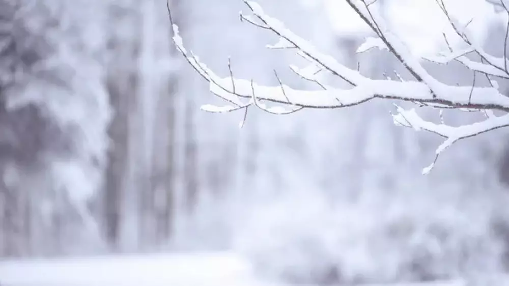 Морозы и метель накроют Казахстан: прогноз погоды на субботу, 24 января