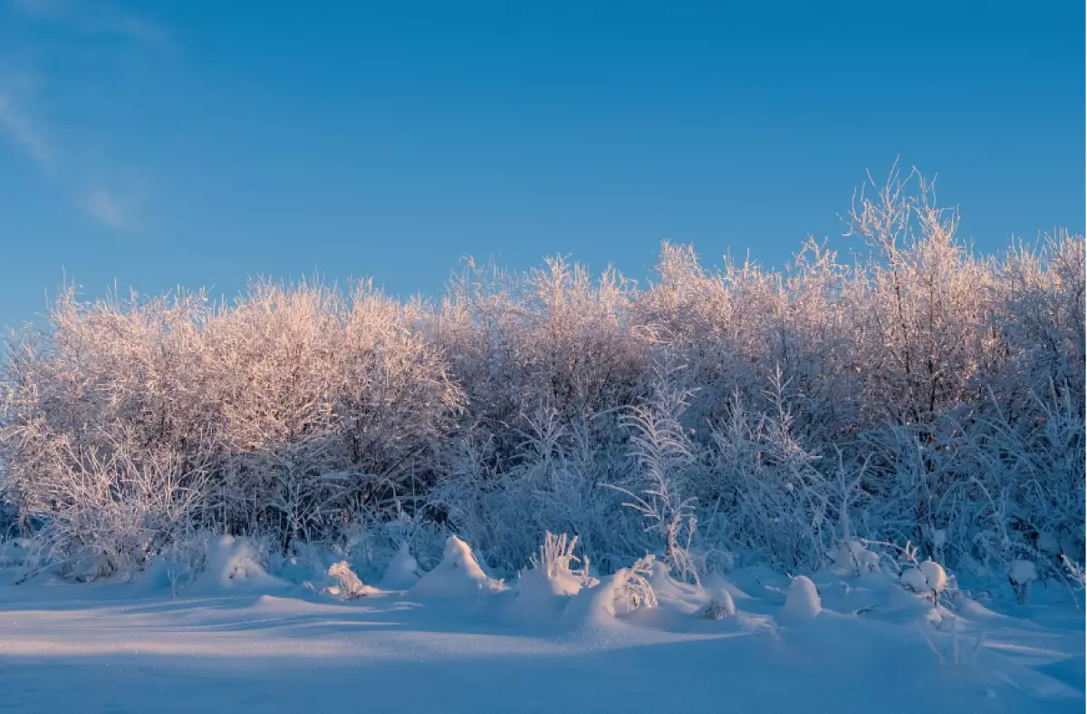 Жаңбыр, қар, көктайғақ: Кей өңірлерде ауа райына байланысты ескерту жасалды