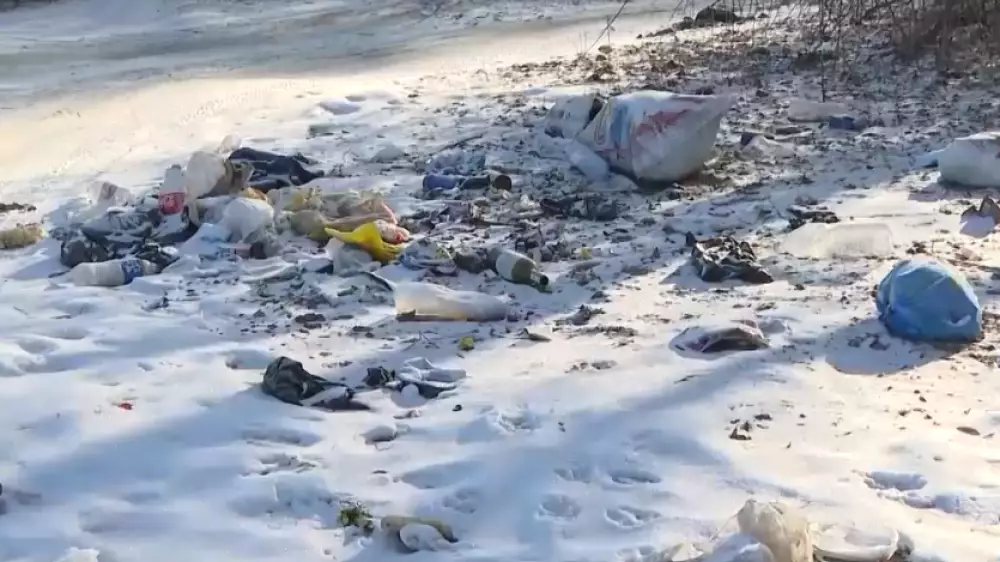 Стихийные свалки разрастаются у дачных массивов Талдыкоргана