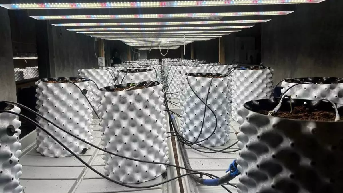 Фитолабораторию с дорогостоящим оборудованием ликвидировали наркоборцы в Акмолинской области