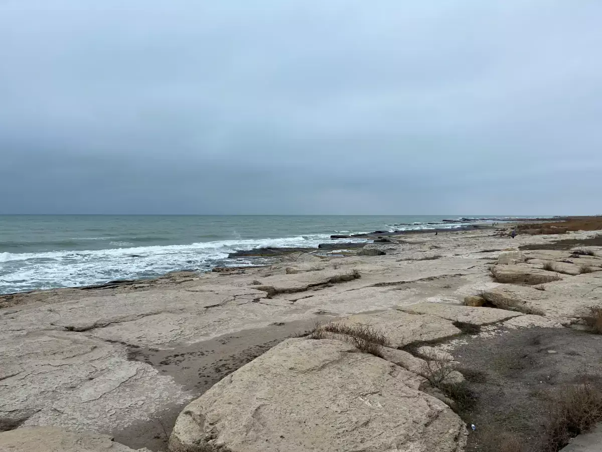 В Казахстане разработана программа по спасению Каспия - новости на Lada.kz 24.01.2026