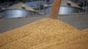 2025 жылы Азық-түлік келісімшарт корпорациясының астық базаларынан астық жөнелту көлемі 25 пайызға артты