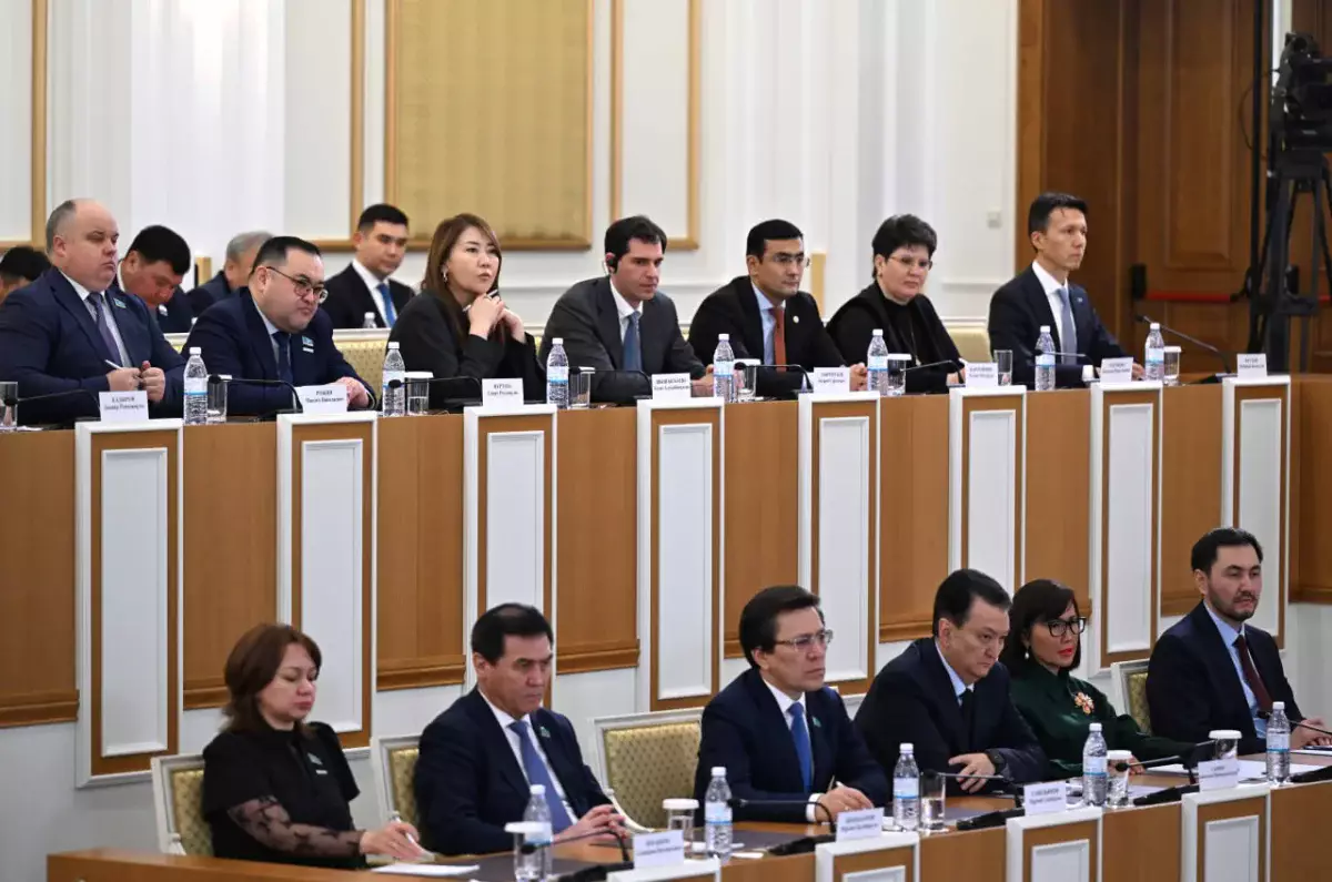 Құрылтай депутаттарына талаптар қандай: Қарин негізгі жаңашылдықтар туралы айтты